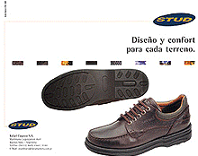 folletos, flyers, layouts, dipticos, tripticos